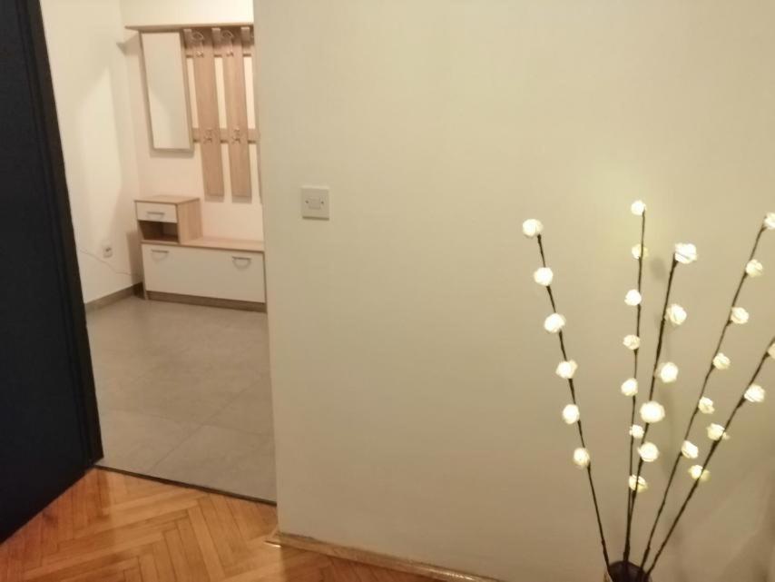 Apartman Sanja 普拉 外观 照片
